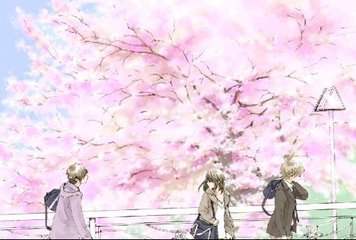 今日看料 每日一抓